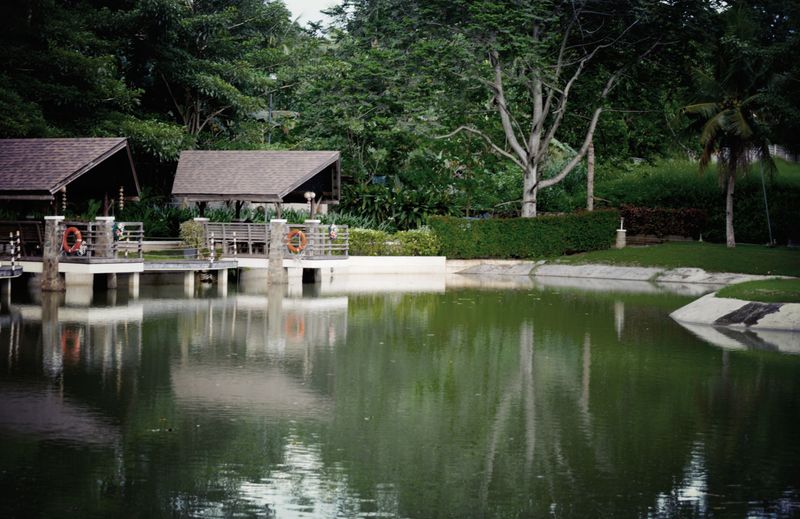 Iaz ornamental amenajat de Aldeea Garden